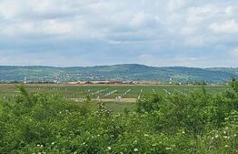 Teren intravilan, 3000mp, Sanmartin Rontau