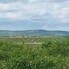 Teren de vânzare Sanmartin - 149910TV - Poza 1 din 2 | BLITZ Oradea | Poza2
