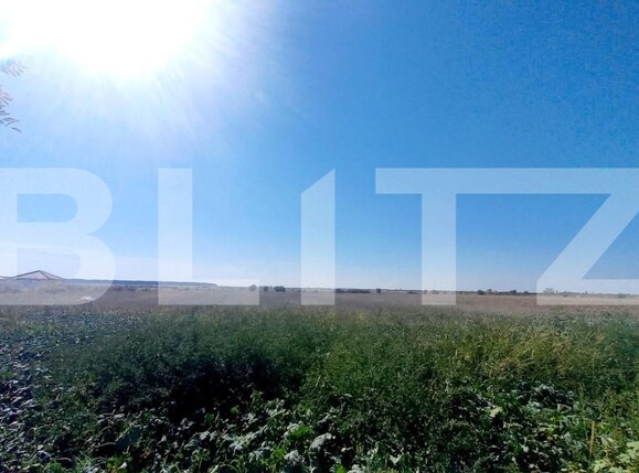 Teren de vânzare Cihei - 149911TV | BLITZ Oradea | Poza1