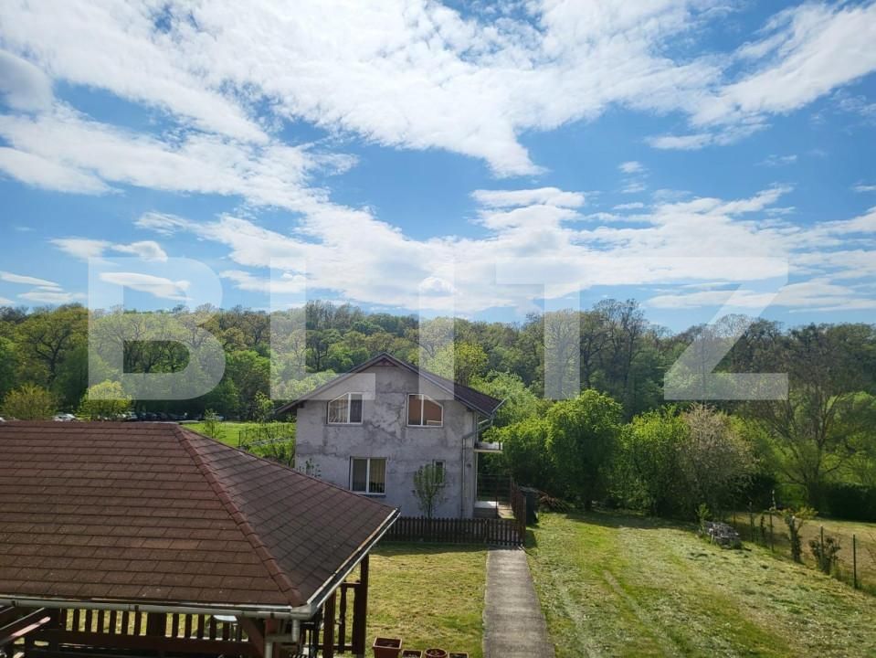 Casa de vânzare 9 camere Baile Felix - 149916CV | BLITZ Oradea | Poza12