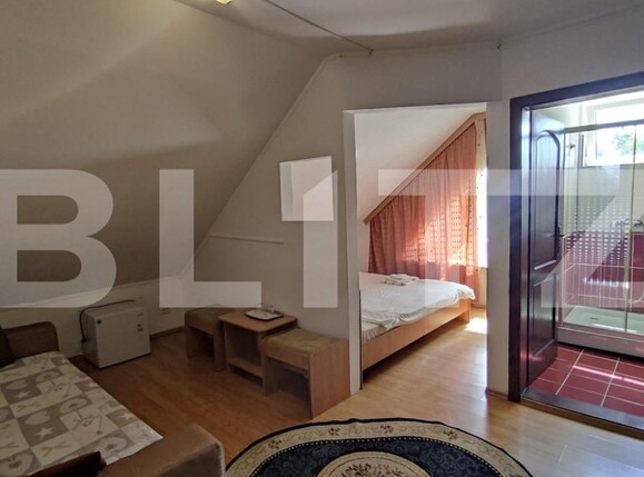 Casa de vânzare 14 camere Baile 1 Mai - 150187CV | BLITZ Oradea | Poza10