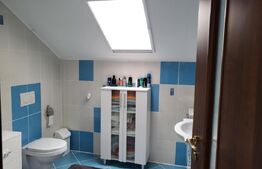 Vilă cu 5 dormitoare în Beverly Hills - Sanmartin, piscină, 1100 mp teren