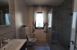 Casa de vanzare in Haieu! 6 km din centrul Oradiei!