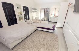 Casa superba 3 camere, Paleu, 2 locuri parcare