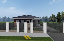 Oportunitate! Casa 3 dormitoare, 105mp, zona Santandrei