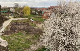 Moara de 106 mp, 6000 mp teren, in Sabolciu