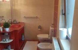 Casa superba in Sanmartin, suprafata utila 180mp si teren 700 mp 