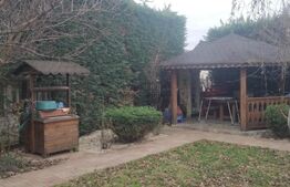 Casa superba in Sanmartin, suprafata utila 180mp si teren 700 mp 