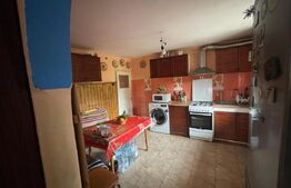 Casa de vânzare cu grădina,  foraj la 50 m adancime si fotovoltaice, in Nojorid