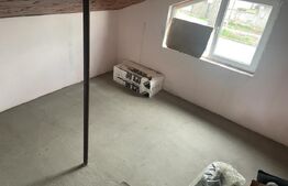 Casa de vânzare cu grădina,  foraj la 50 m adancime si fotovoltaice, in Nojorid