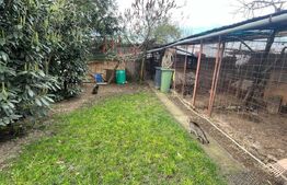 Casa de vânzare cu grădina,  foraj la 50 m adancime si fotovoltaice, in Nojorid
