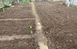 Casa de vânzare cu grădina, 5 camere,  Nojorid