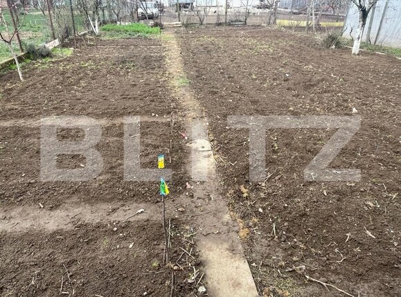 Casa de vânzare 5 camere Nojorid - 150206CV | BLITZ Oradea | Poza4