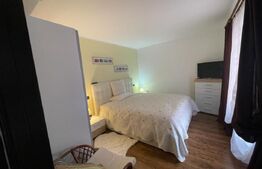 Proprietate versatilă cu două apartamente și casă cu trei nivele