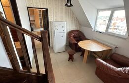 Apartament cu 3 dormitoare, petfriendly