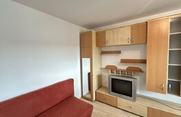 Apartament cu 3 dormitoare, petfriendly