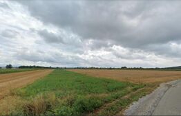 Teren pt BALASTIERA intravilan in Fughiu / Osorhei