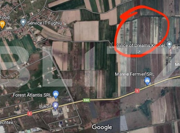 Teren de vânzare Fughiu - 150587TV | BLITZ Oradea | Poza2