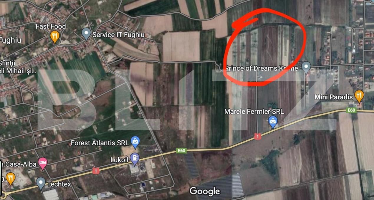 Teren de vânzare Fughiu - 150587TV | BLITZ Oradea | Poza2