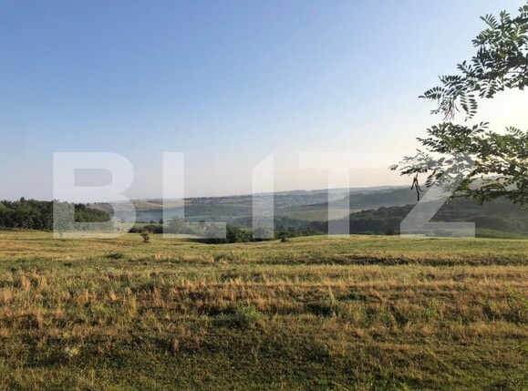 Casa de vânzare 3 camere Saldabagiu de Munte - 150591CV | BLITZ Oradea | Poza14