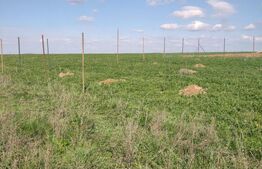 Teren intravilan, 3180mp, zona Alparea