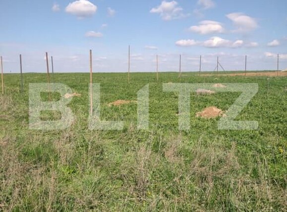 Teren de vânzare Central - 150592TV | BLITZ Oradea | Poza2