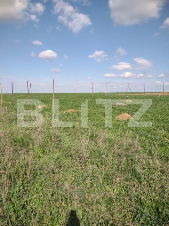 Teren de vânzare Central - 150592TV | BLITZ Oradea | Poza2