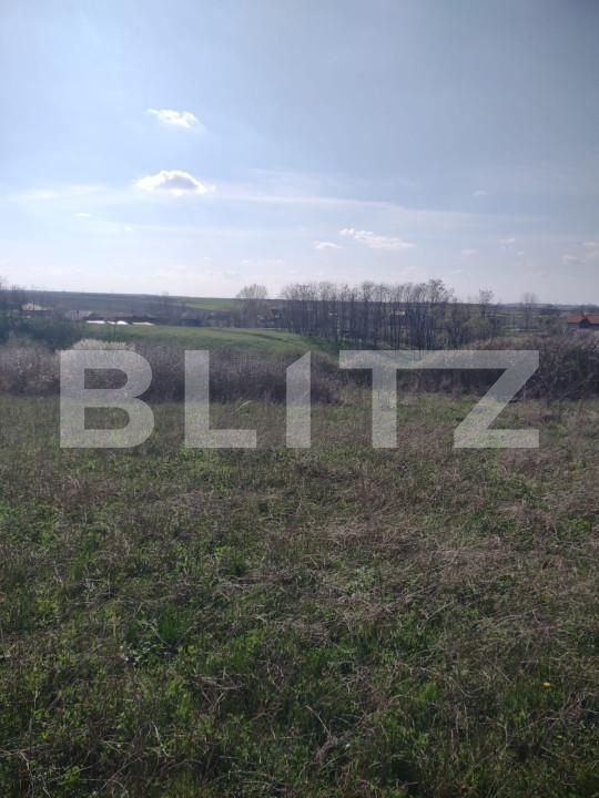 Teren de vânzare Central - 150592TV | BLITZ Oradea | Poza3