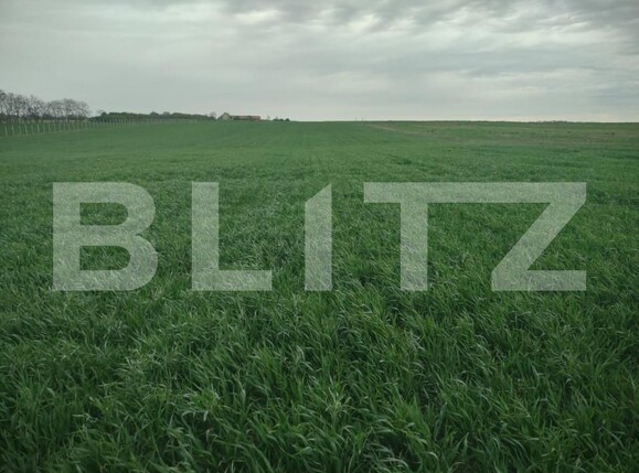 Teren de vânzare Chisirid - 150593TV | BLITZ Oradea | Poza2