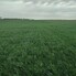 Teren de vânzare Chisirid - 150593TV - Poza 1 din 2 | BLITZ Oradea | Poza1