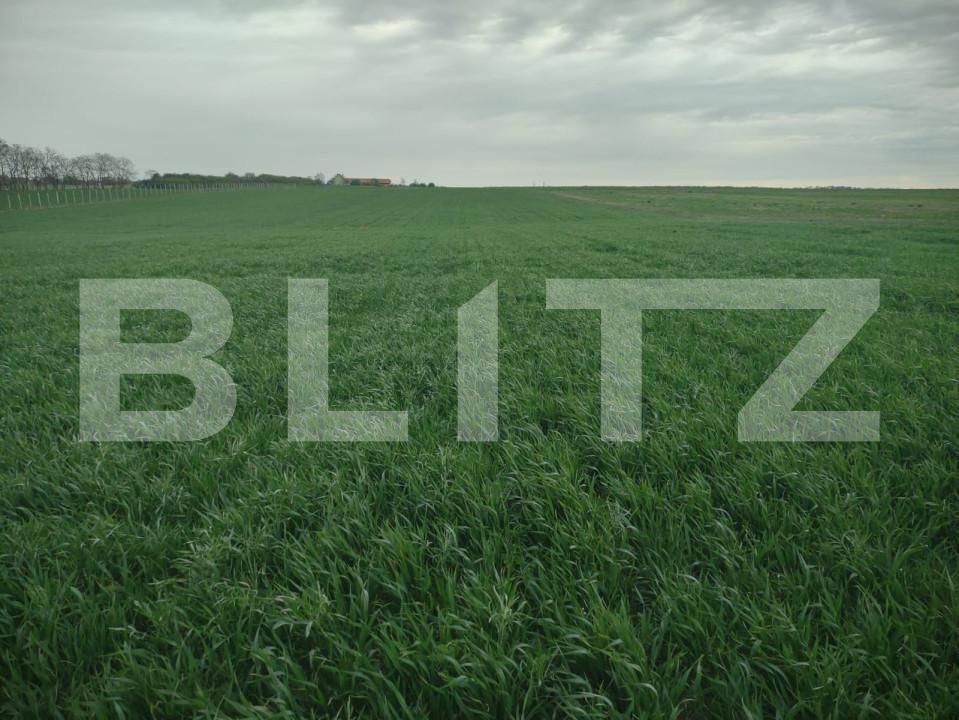 Teren de vânzare Chisirid - 150593TV | BLITZ Oradea | Poza2