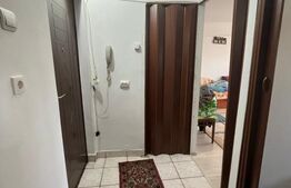 Garsoniera, 26 mp, zona Velenta