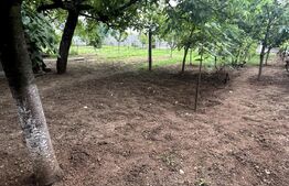 Oportunitate Teren 809mp cu Casa veche Demolabila/Renovabila