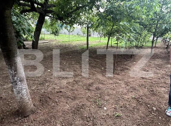 Casa de vânzare 4 camere Salca - 150637CV | BLITZ Oradea | Poza5