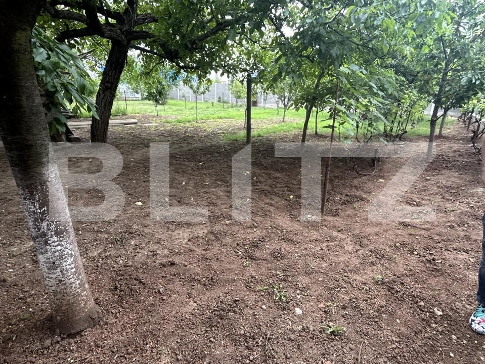 Casa de vânzare 4 camere Salca - 150637CV | BLITZ Oradea | Poza5