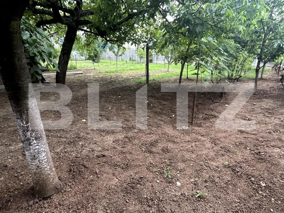 Casa de vânzare 4 camere Salca - 150637CV | BLITZ Oradea | Poza4