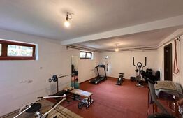 Casa de vanzare in Sanmartin - ocazie unica