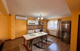 Casa de vanzare in Sanmartin - ocazie unica