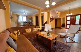 Casa de vanzare in Sanmartin - ocazie unica