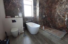 Casa superba in stil american, view asupra intregului oras, zona Paleu