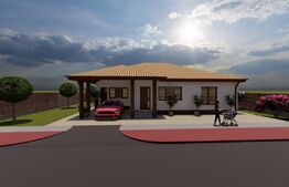 Casa moderna si spatioasa in Santandrei.