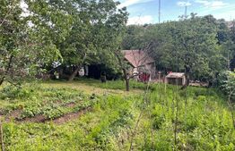 Casă , 750 mp , zona Dealuri 