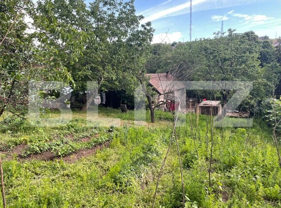 Casa de vânzare 2 camere Dealuri Oradea - 151217CV | BLITZ Oradea | Poza6