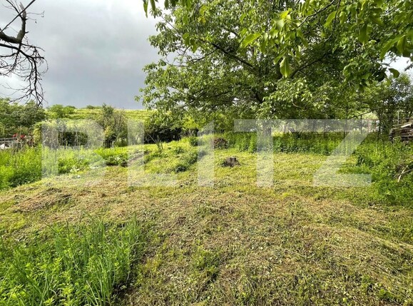 Casa de vânzare 2 camere Dealuri Oradea - 151217CV | BLITZ Oradea | Poza2