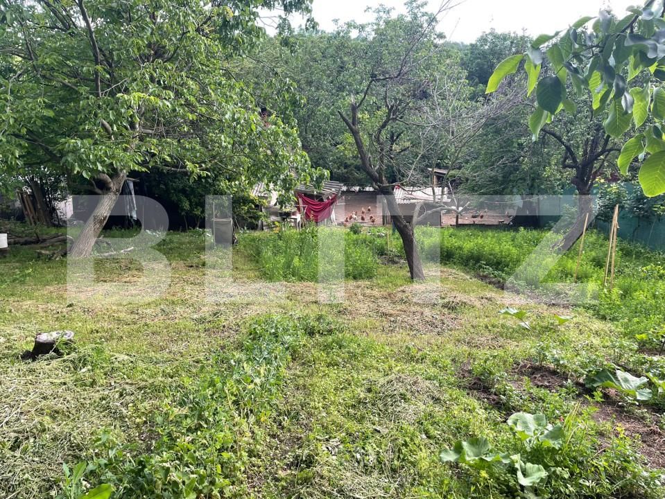 Casa de vânzare 2 camere Dealuri Oradea - 151217CV | BLITZ Oradea | Poza5