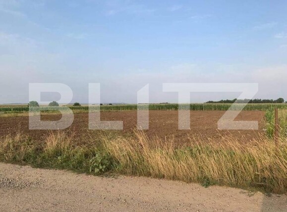 Teren de vânzare Livada de Bihor - 151240TV | BLITZ Oradea | Poza1