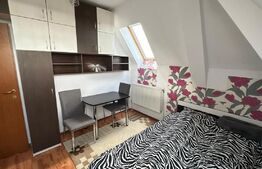 Garsoniera mobilata si utilata, 17mp, Iosia