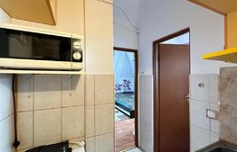 Garsoniera mobilata si utilata, 17mp, Iosia