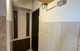 Garsoniera mobilata si utilata, 17mp, Iosia