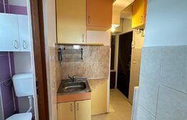 Garsoniera mobilata si utilata, 17mp, Iosia